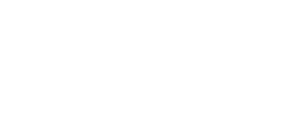 Anis Mili Logo